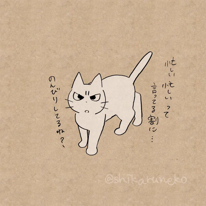 忙しいはずなのにのんびりしてしまう人を叱ってくれる猫