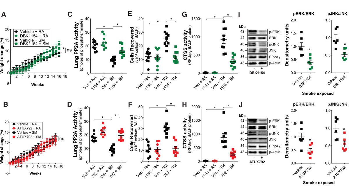 Evaluating Novel Protein Phosphatase 2A Activators as Therapeutics for Emphysema

🔓 Open Access
🔗 bit.ly/40mwok9