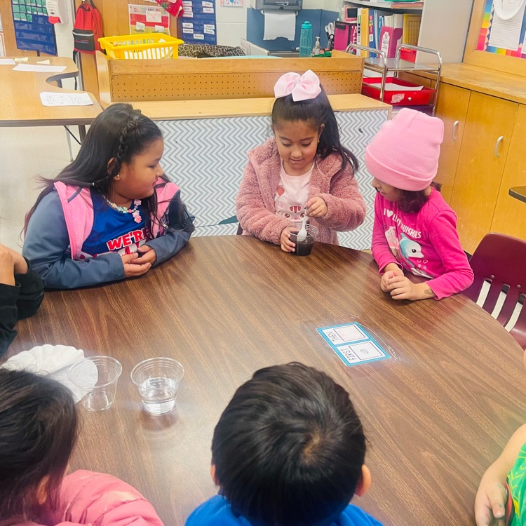 RooseveltBronc1's tweet photo. From forming hypotheses to hands-on experiments, our kindergarteners are making extraordinary discoveries in science! 🐴❤️🌎
#BroncoPride #GreatnessStartsHere https://t.co/F5h56Nss0g