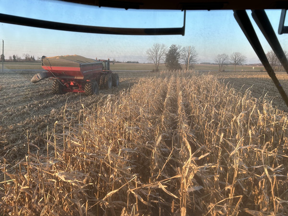 Dennis Driedger tweet media