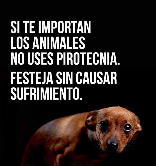 COMPARTE