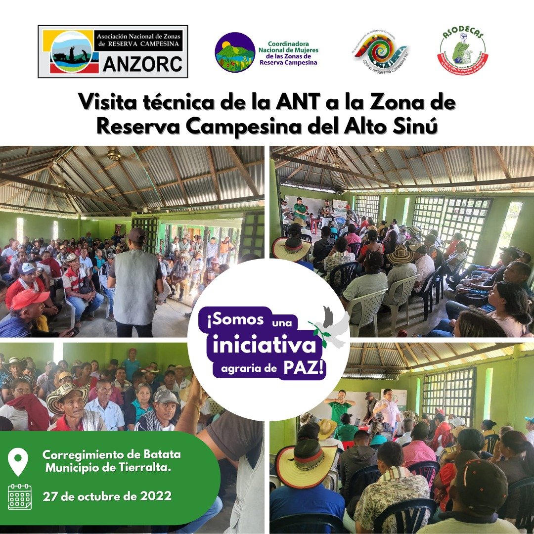 Rechazamos categoricamente las afirmaciones infames de @BaluarteNC. ANZORC y @Asodecas, con décadas de trabajo en el territorio, son pilares indiscutibles en la gestión de la Zona de Reserva Campesina Alto Sinú. Su legitimidad y compromiso hablan por sí mismo.