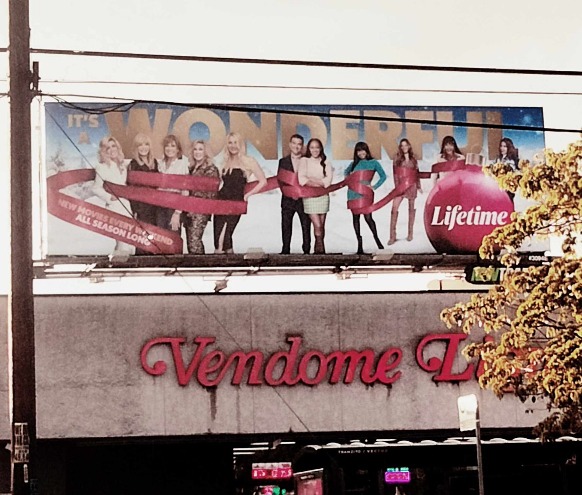 Ed Polgardy tweet media