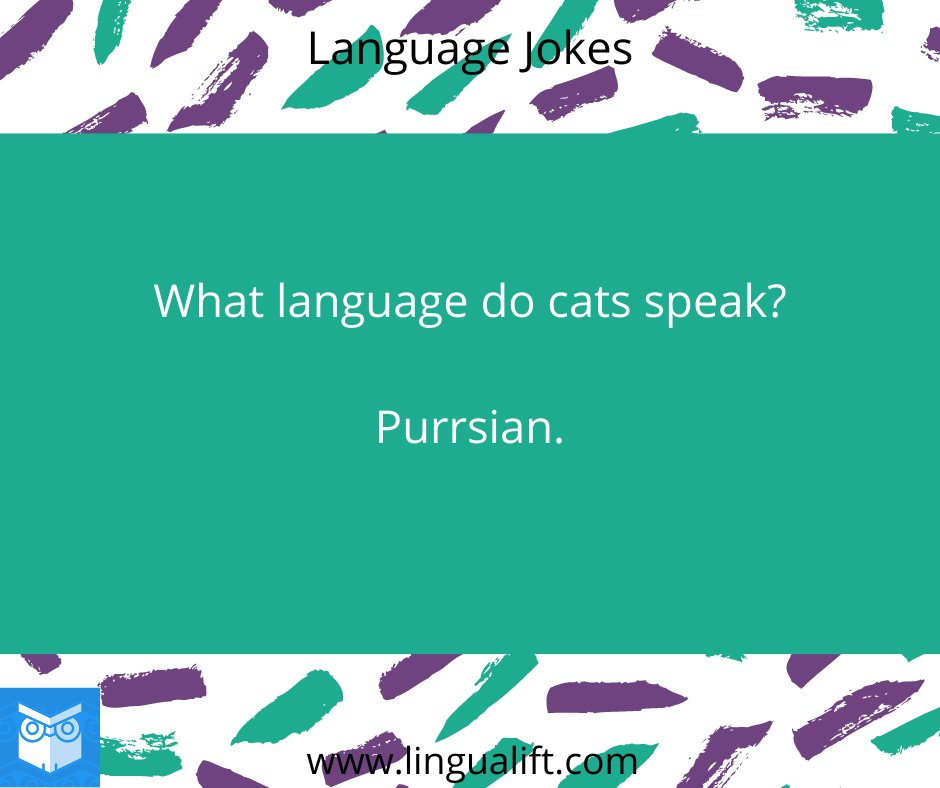 #languagejokes