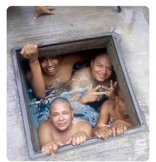 Los frijoles viéndote cuando abres el bote de helado: