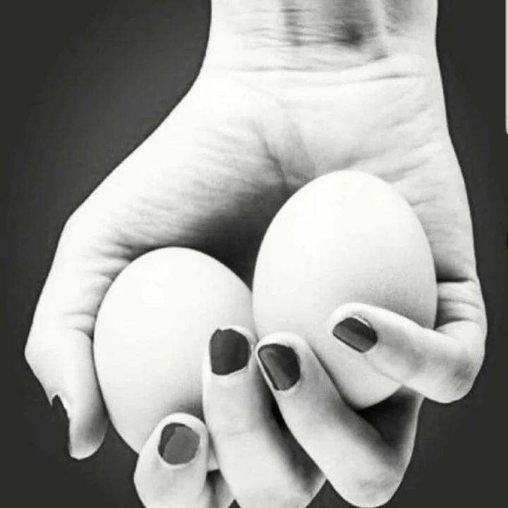 BigBallsKai's tweet photo. Tip for the ladies: keep your man in check by simulating completely rupturing his testicles every now amd then. Any pair of orbs will do.
CRUNCH!
He will be well behaved after being reminded how easily a womans delicate hands can destroy his manhood ๐ #NutCrunch #Ballbusting https://t.co/ZlrpEPjwCP