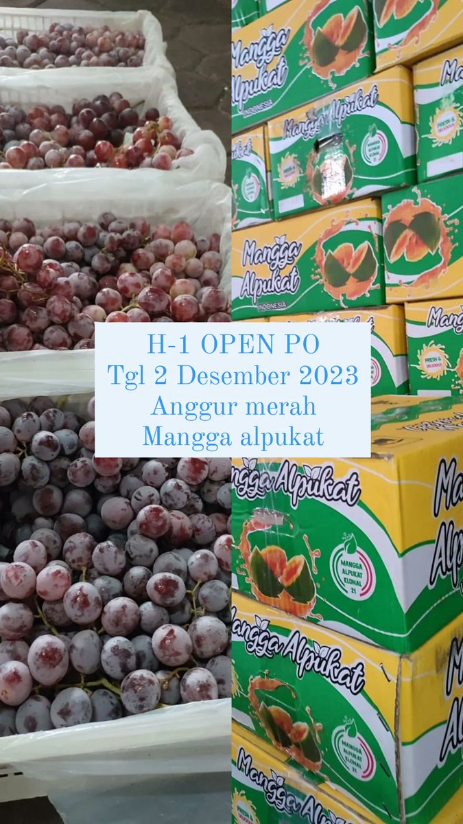 #jualbuah #anggurmerah