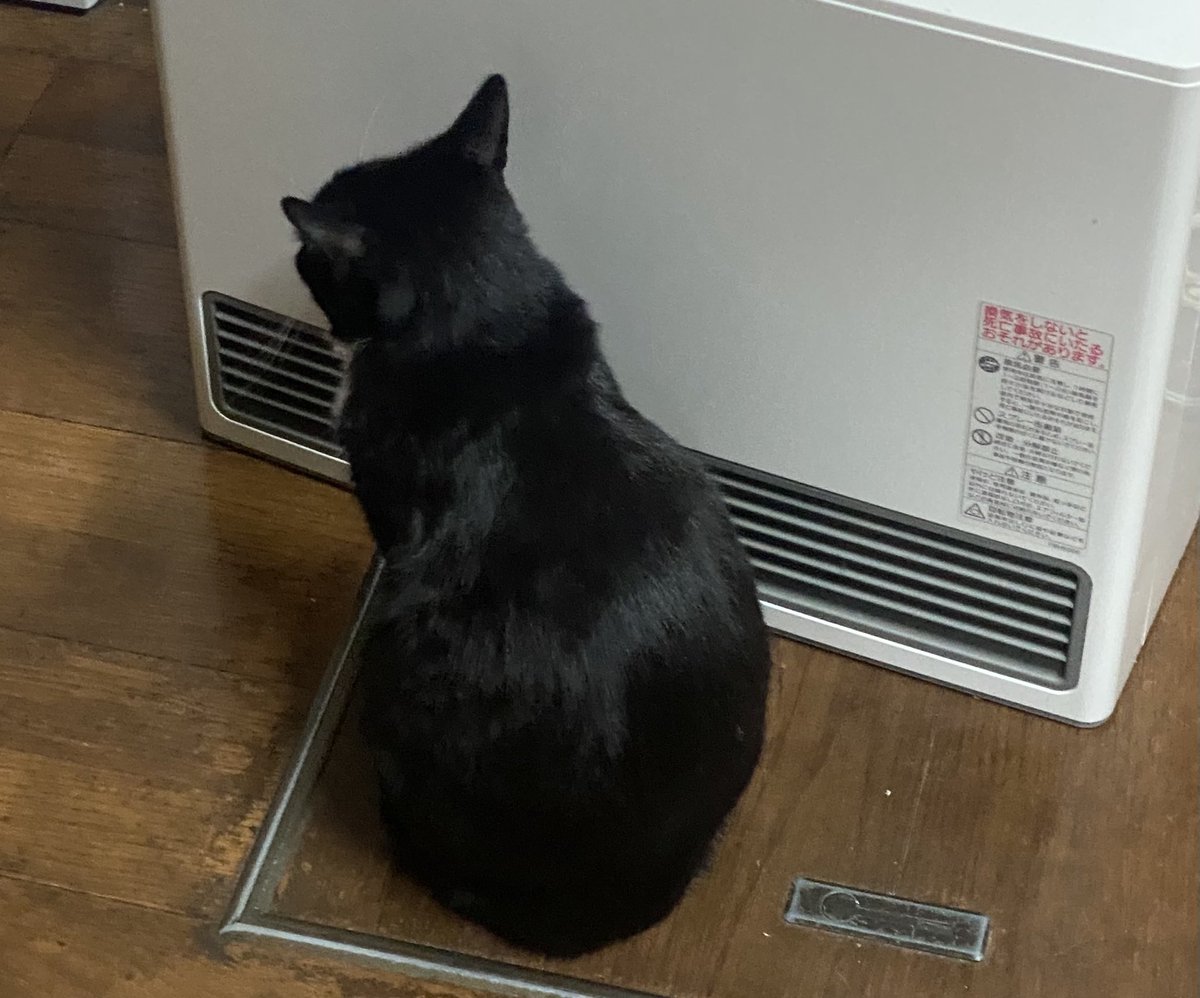 晩秋のお山は底冷えが強いです
暖かくして紅葉狩りをなさってくださいませ