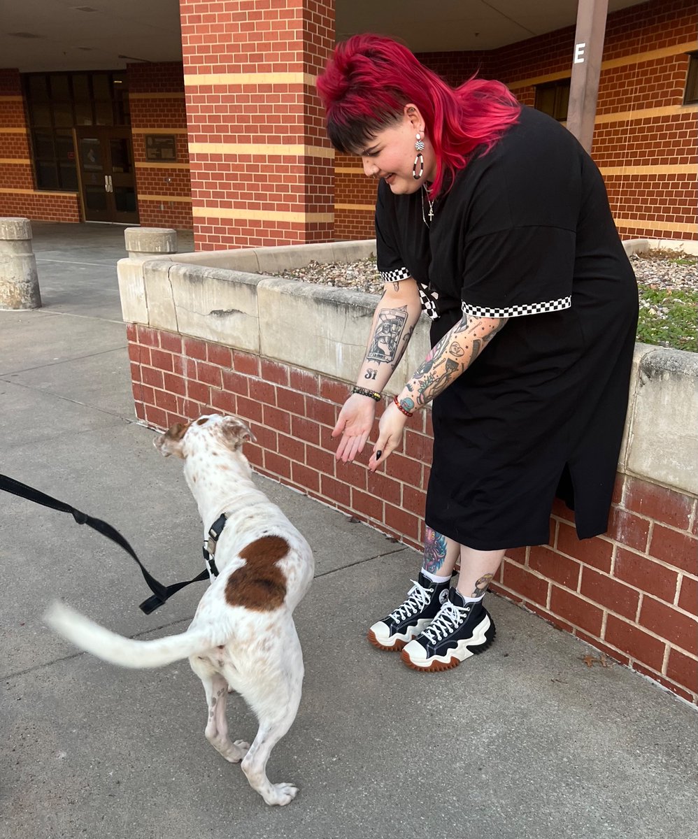 Brookeafur's tweet photo. Uh, anyways. I got a dog. Himbs name is Kevin. https://t.co/O0QmDlZT1z