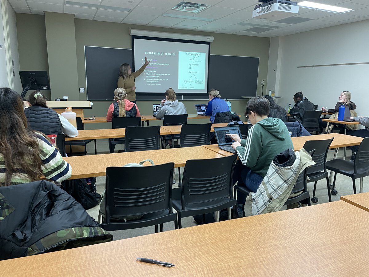 Natacha Hogan tweet media