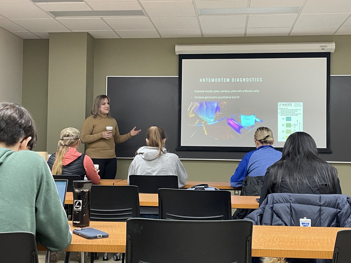 Natacha Hogan tweet media