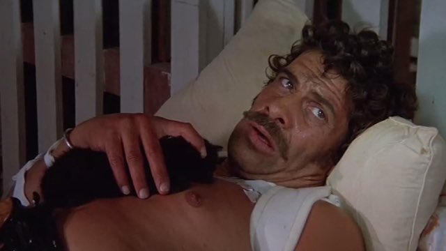 RadRevivalHouse's tweet photo. “I don’t like violence, Tom. Blood is a big expense!”
We hope you and enjoyed our first entry of our “Criminally Forgotten Actors” campaign with the great crime film star Al Lettieri!
#FilmReviews #CultCinema #ForgottenActors #AlLettieri #TheGodfather #TheGetaway #MrMajestyk https://t.co/aU1CCOtbsN