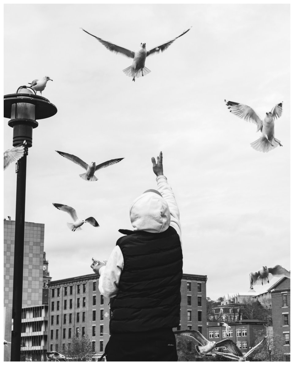 ItsBaghead's tweet photo. Photo version of a @LouieTheBee poem #streetphotography https://t.co/Wduj9JZtIl