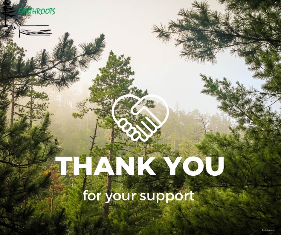 Thank you for your support this GivingTuesday. 

Together we raised more than $8,000 for Ontario’s wildlife and wilderness. Your generosity helps us to continue to fight for Protect Species and Protected Spaces.
#givingtuesday #givingtuesdayca