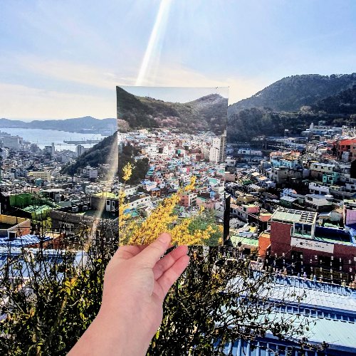 kmbradshaw_'s tweet photo. Memories from a year ago when I was in South Korea https://t.co/JZusThhza6