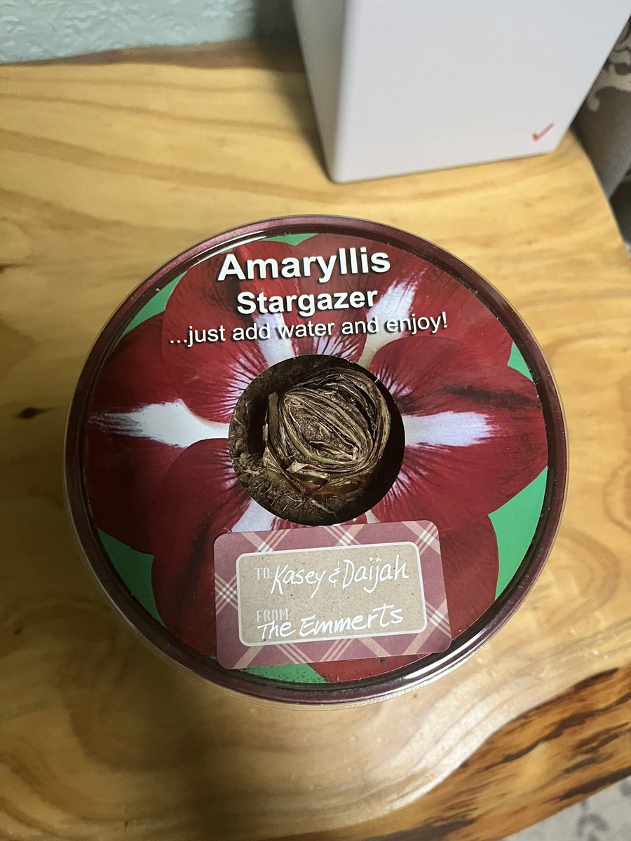 kaighin_kasey's tweet photo. #AngrySwap #Sweepstakes @AngryOrchard I accidentally killed the one they gave us last year!! 😭😭 https://t.co/6mIjYolrK1