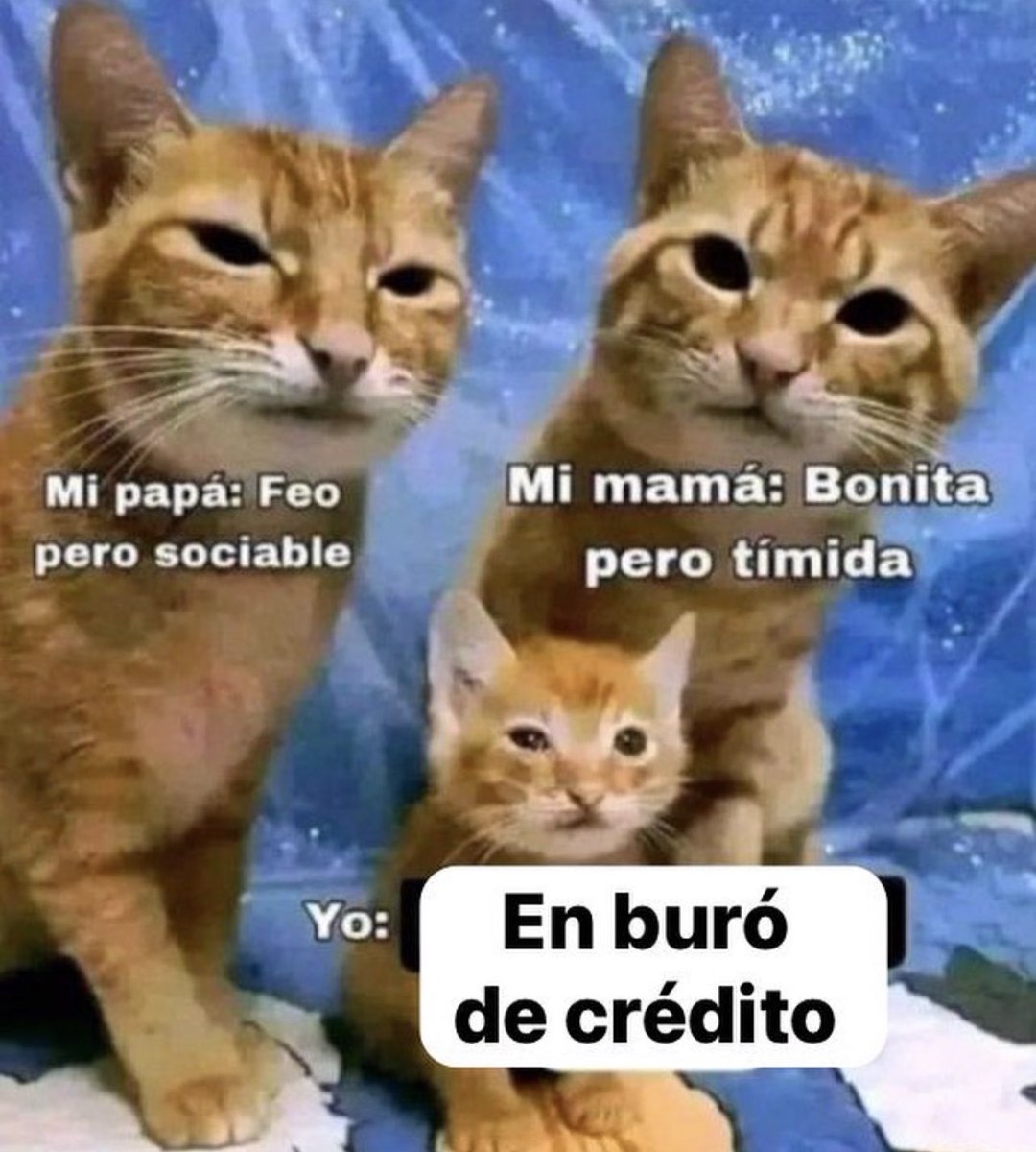 ElJeringasLoko's tweet photo. JAJAJSJA https://t.co/J1MoO7ejs1