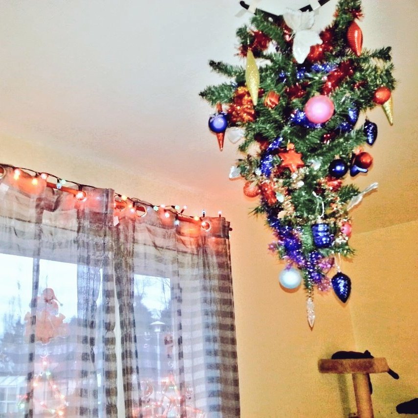 ChatLasco's tweet photo. Soluce pour vos sapins contre vos boules de poils et boule de mini d'humains😸 https://t.co/iniisSkB4J
