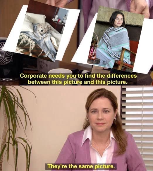 Rubén Cantor (@rucantor) on Twitter photo 