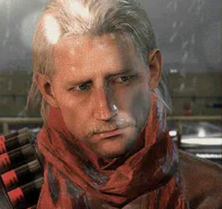 Shalashasta (@ocelotfacts1) on Twitter photo 