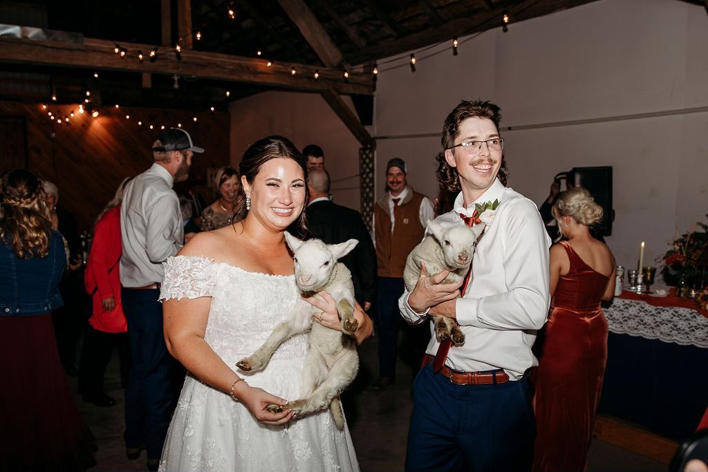 Many more lambs in our future but these two were special. #weddinglamb