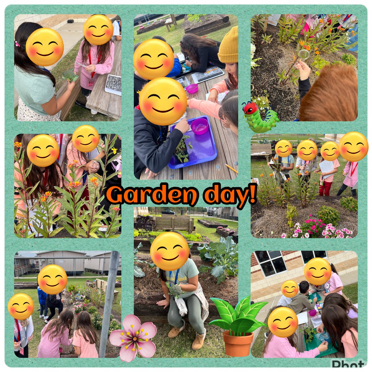 Garden day @CFISDAndre!! We love visiting our garden. We learned about bluebonnets and tasted some yummy lettuce. Our favorite was seeing the caterpillars in action. @CyFairISD @CFISDScience @CFISDELs @readygrowgarden @MsPaoliVegaRTGG @mrsnewcfisd #LeopardsLEAD