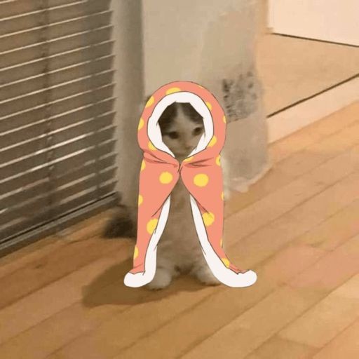 oceanacolossus's tweet photo. https://t.co/Qv9F6nVDow