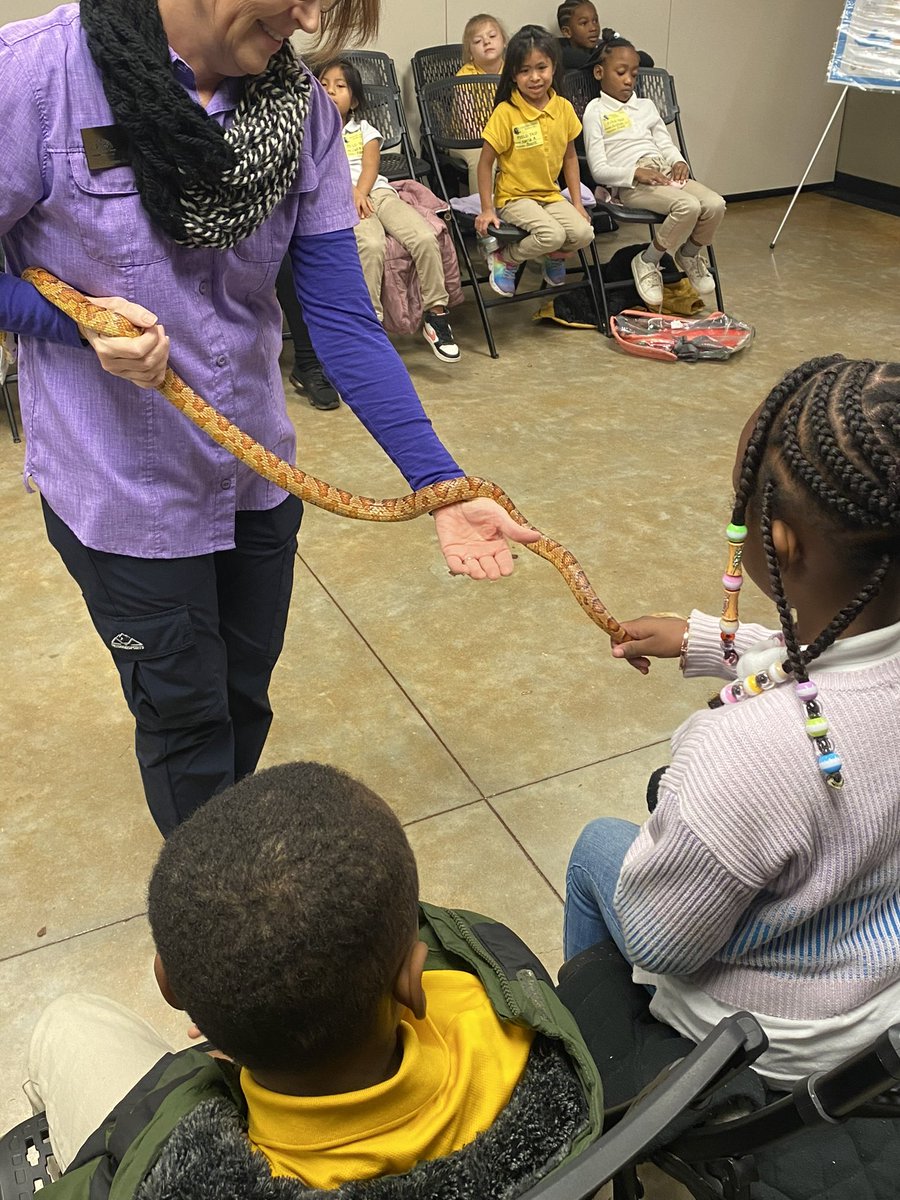 HGESchool's tweet photo. Snakes, turtles, nature, and more. Our first grade classes enjoyed their field trip to Lanark Nature Center.
#TheresMoreWithMPS
#TeamingUpForExcellence
#Operation73
@QuantinaSides @MPSAL @SuptMJBrown https://t.co/avzO7XcLFo