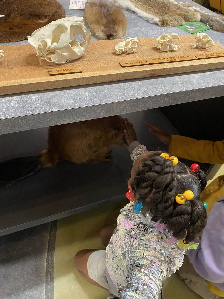 HGESchool's tweet photo. Snakes, turtles, nature, and more. Our first grade classes enjoyed their field trip to Lanark Nature Center.
#TheresMoreWithMPS
#TeamingUpForExcellence
#Operation73
@QuantinaSides @MPSAL @SuptMJBrown https://t.co/avzO7XcLFo