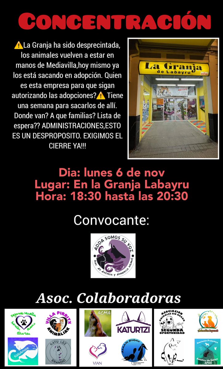 Animalistas Euskadi tweet media