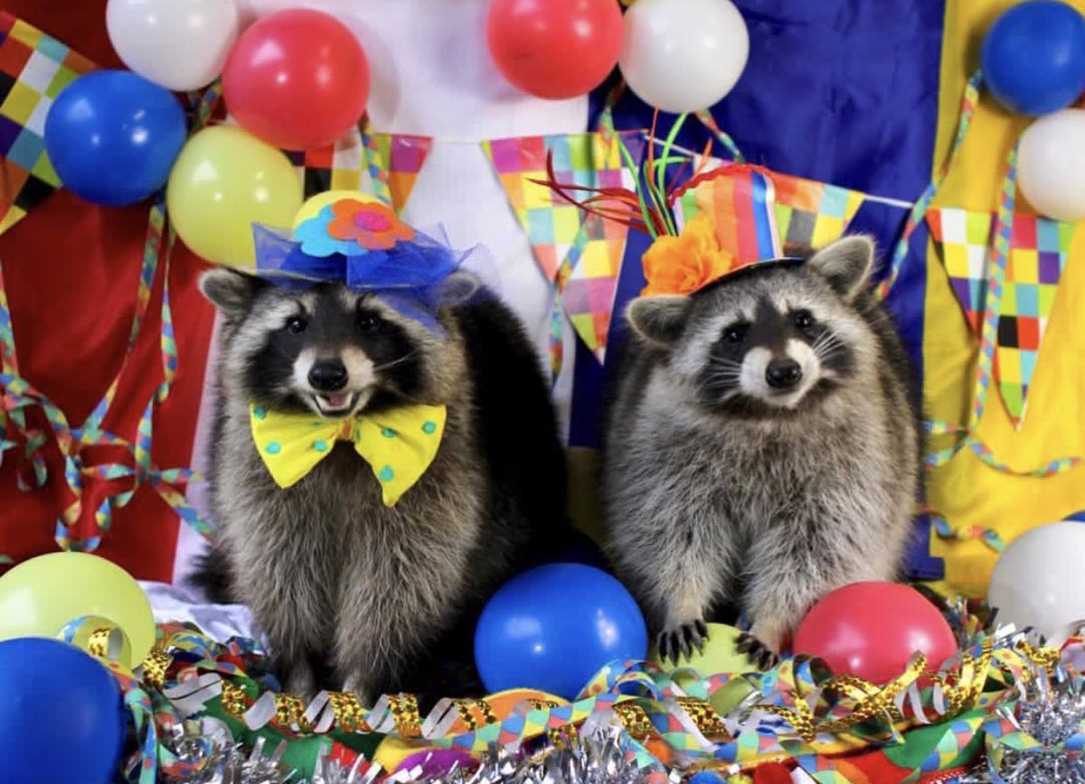 sweetraccoons's tweet image. Kissinger is dead  🎉