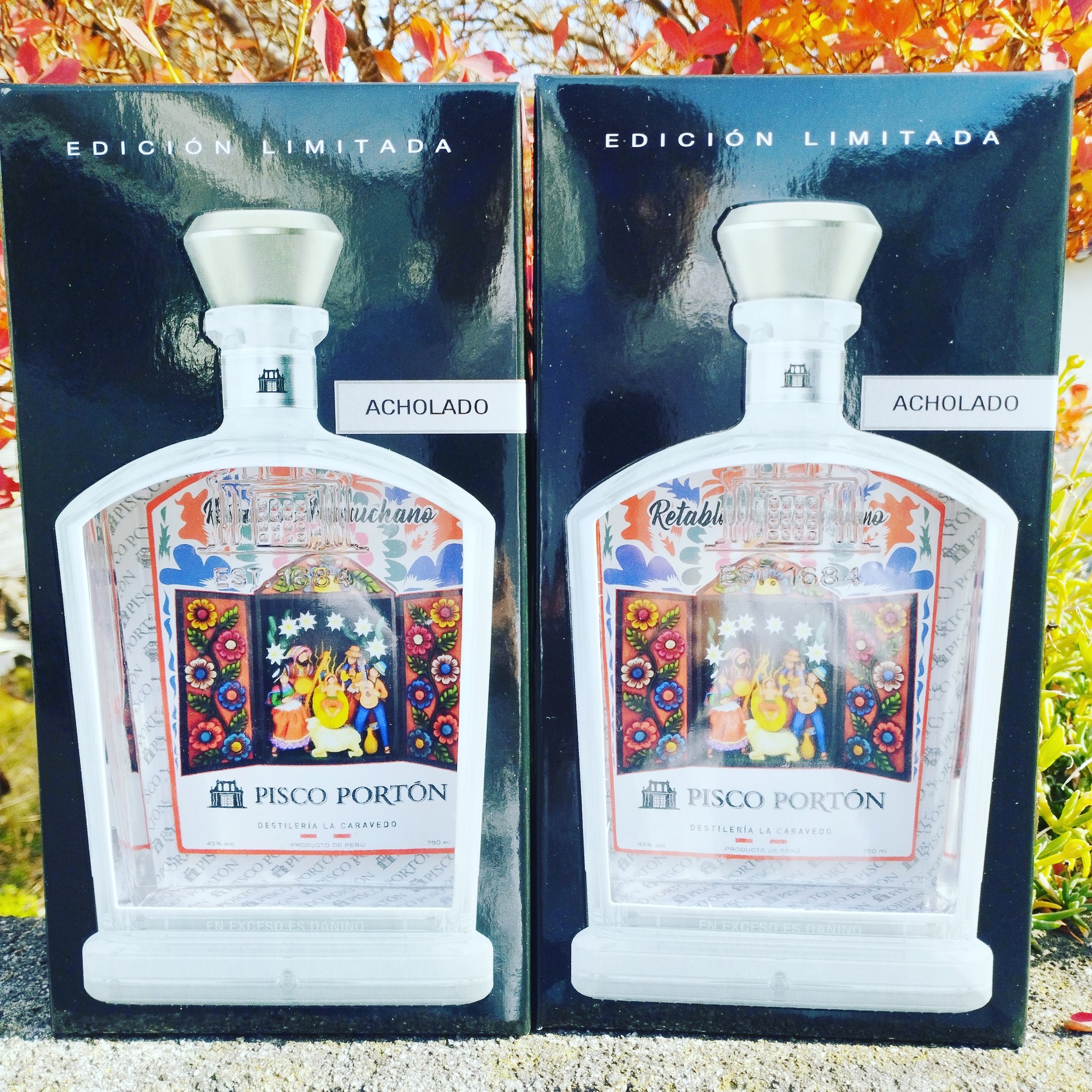 2023年クリスマス限定デザイン)【ピスコポルトン】アチョラード