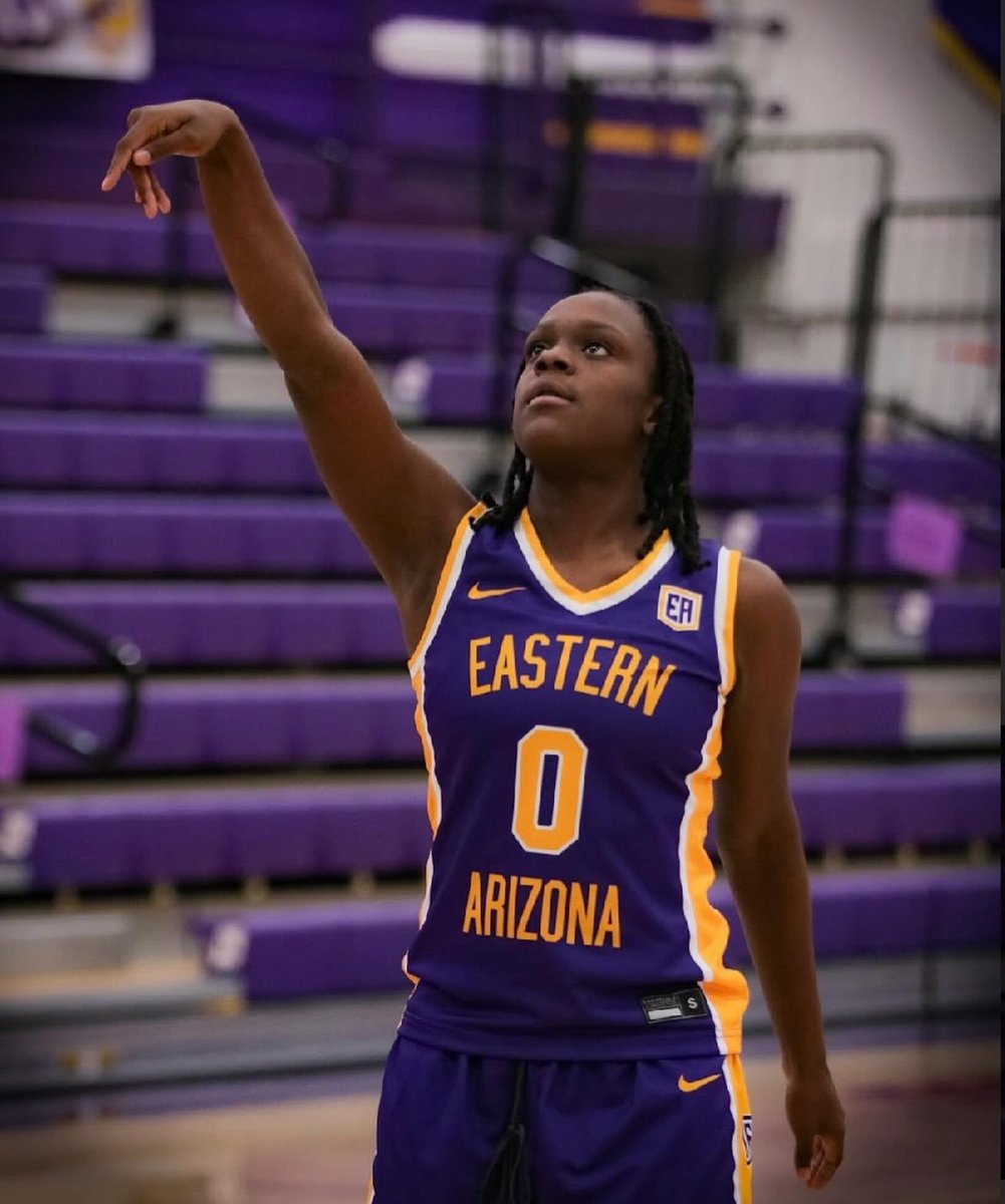 Southsuburbanhoops tweet media