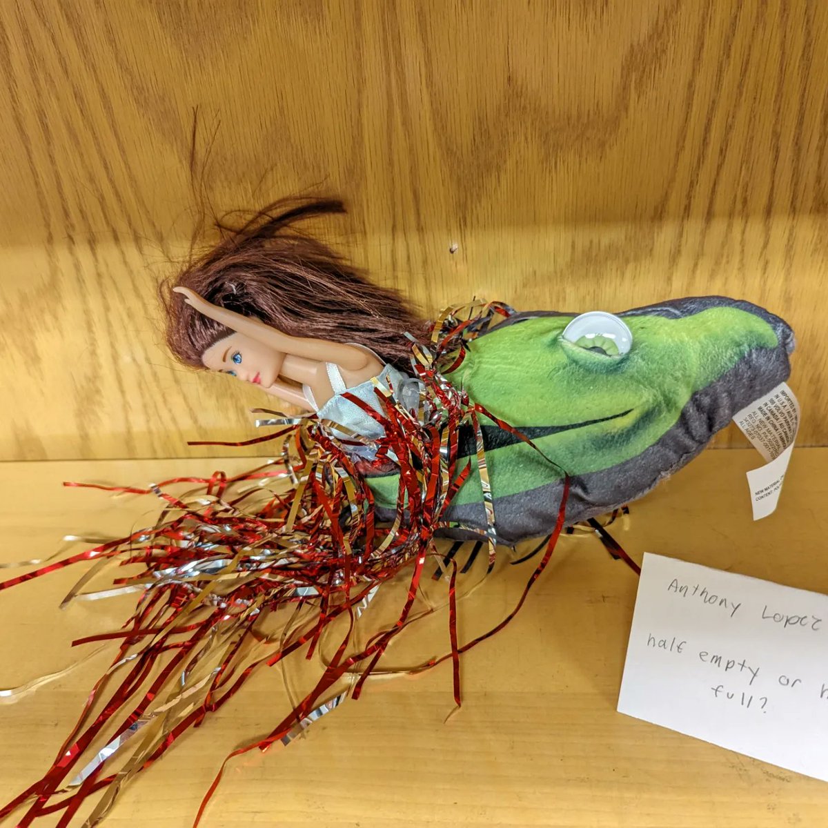 Hayfield SS Library tweet media