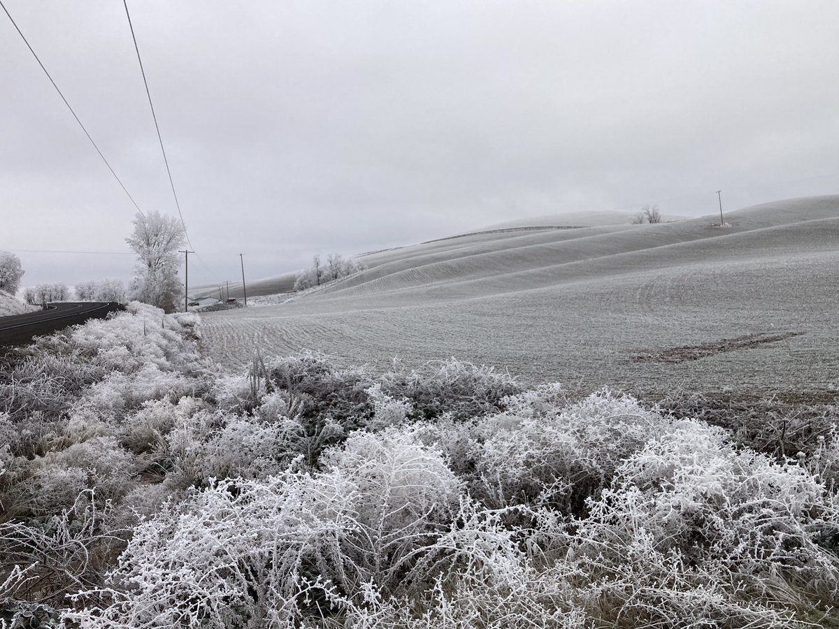 PaulBurgener's tweet photo. Came to Idaho and Washington at the end of November. I grew up this far north. I knew better. Just want to go back to Texas. 😳
#freezingmyassoff https://t.co/Ugd5EwcfQu