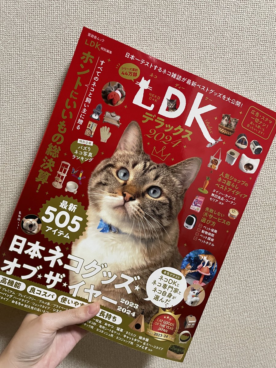 週休8日の猫吸い on X