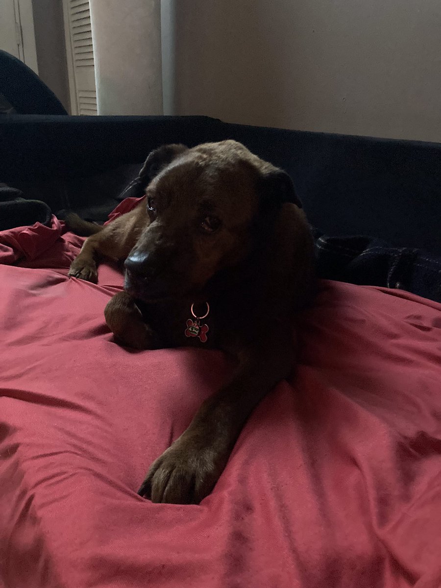 Maxcellent's tweet image. 11.30.2012 - 11.29.2023
We love you. 
For All Time. Always.