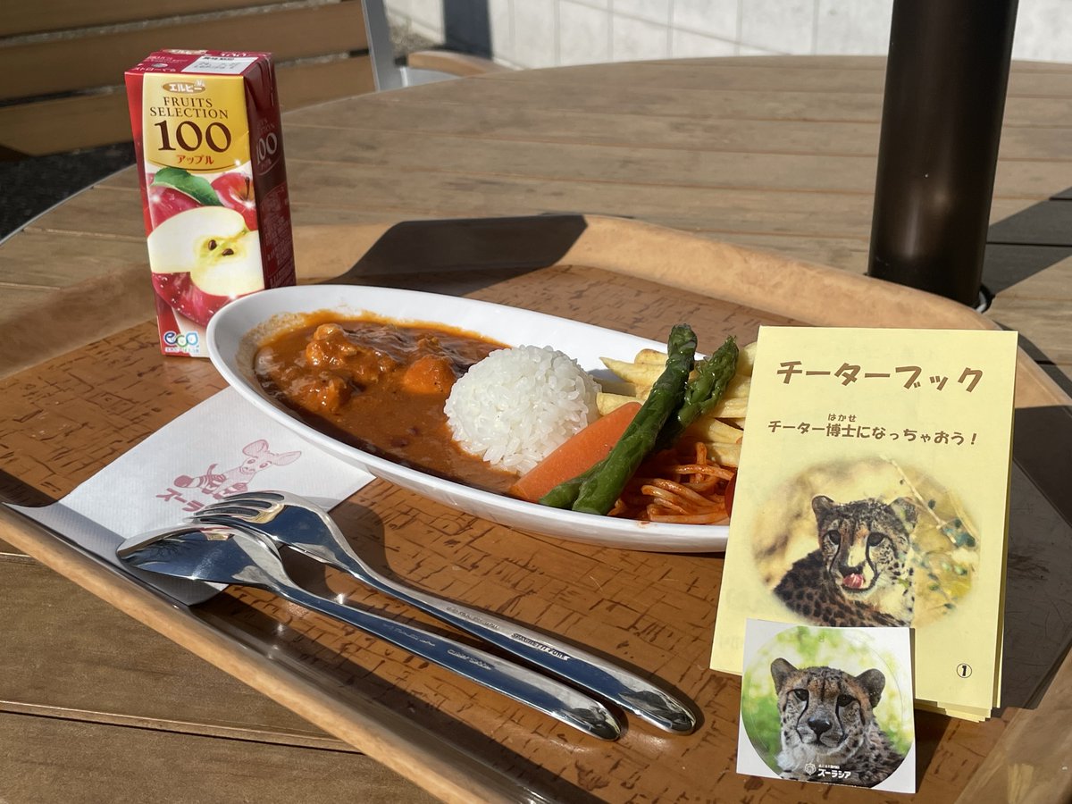 サバンナテラス×国際チーターの日】 ＃サバンナテラス では、お子様