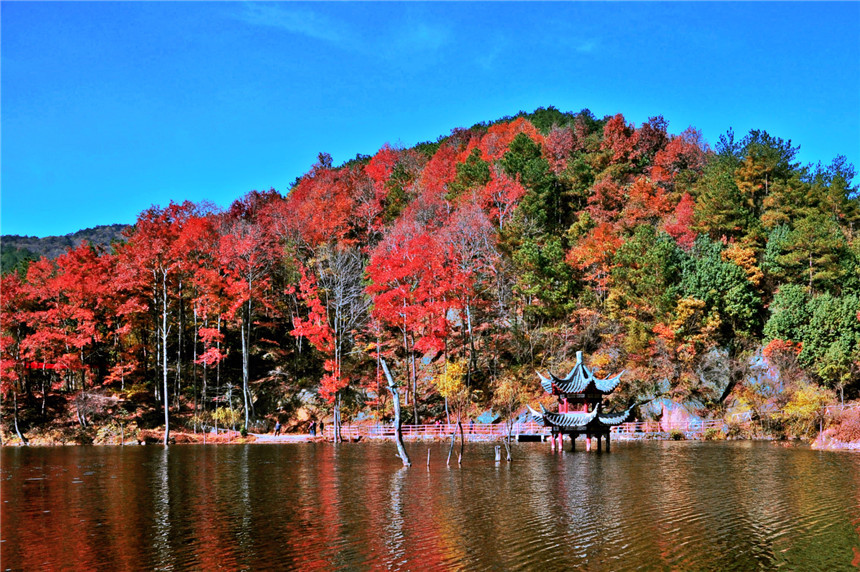 Mountains along a rippling river are littered with colorful leaves in a spectacular scene of the early winter at the Qingliang Village scenic area in Huangpi District, central China’s Hubei Province. #leafpeeping #foliagetherapy #ChinaAlbum