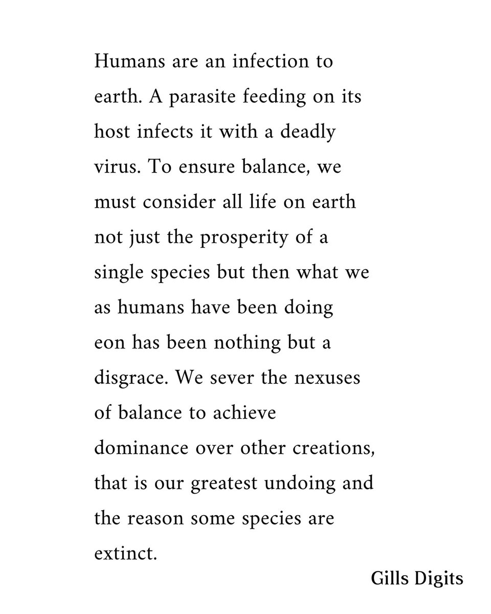 Gillsdigits's tweet photo. Follow @gills_digit for more
#fyp #ecosystem #nature #growaseed #savetheplanet #savetheearth #savemotherearth #mothernature #earth #humans #allspecies #collectiveresponsibility https://t.co/TsjjCR8t7r