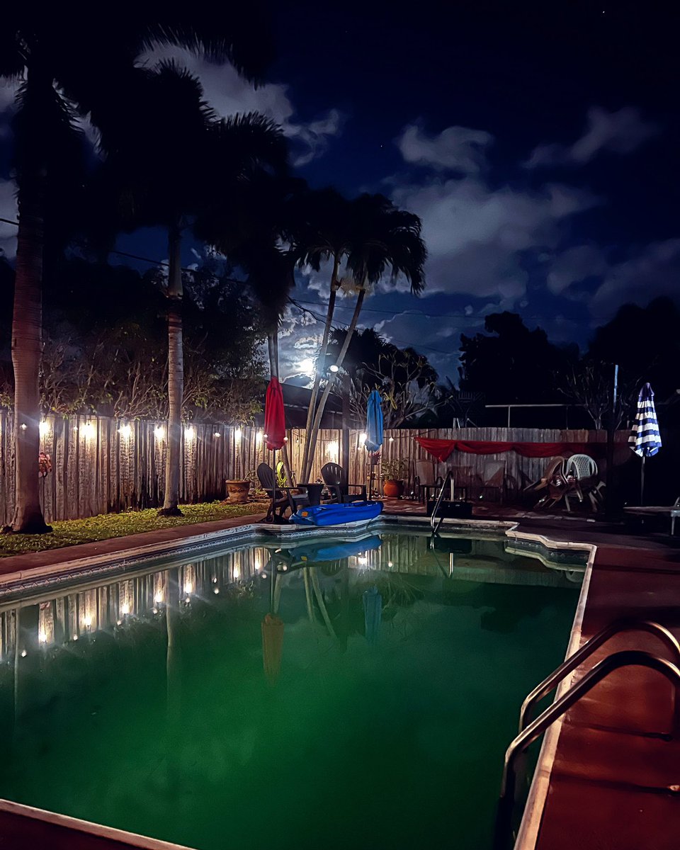 It’s a #simplygorgeous #florida #evening #outside #coolweather #chillin #poolside #palmtrees #night #sky #clouds #moon #moonlight #myhappyplace