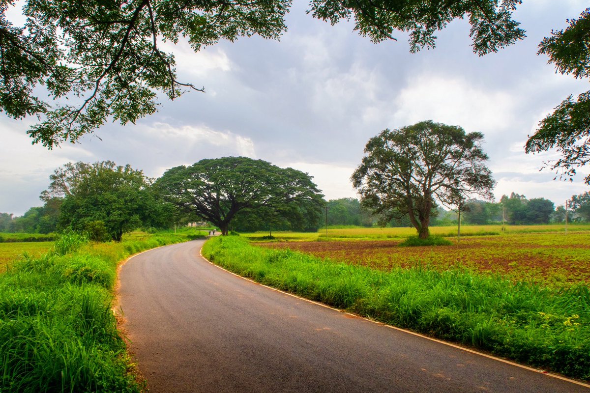 Hesaraghatta and nearby villages have such nice roads, quite popular with cyclists in the morning 😊