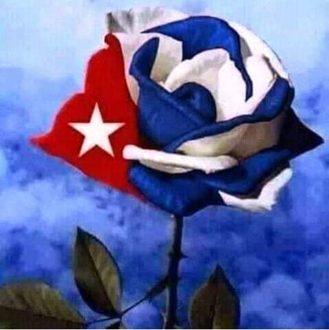 AlexisR08763991's tweet photo. @DrRobertoMOjeda @PartidoPCC @DiazCanelB @PresidenciaCuba @IzquierdaUnida @DeZurdaTeam_ @YudelkisOrtizB @AylinAlvarezG @GHNordelo5 @cubacooperaven @unidad_central @cubadebatecu #MujeresEnRevolucion https://t.co/uHMCpHYsiz