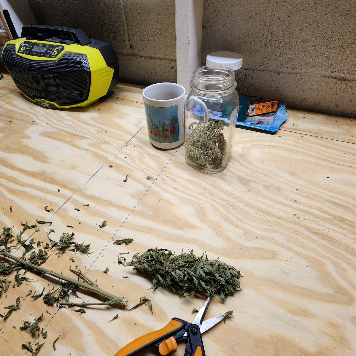 CBRNOIR's tweet image. I light the resin on my trimming scissors and smear it on my bowl. I remain true to the old and thrifty methods of the past. It's easy to grow. It is a WEED. But work begins at harvest. I learned to trim by trimming. #GotWeed #RuthlessRiches