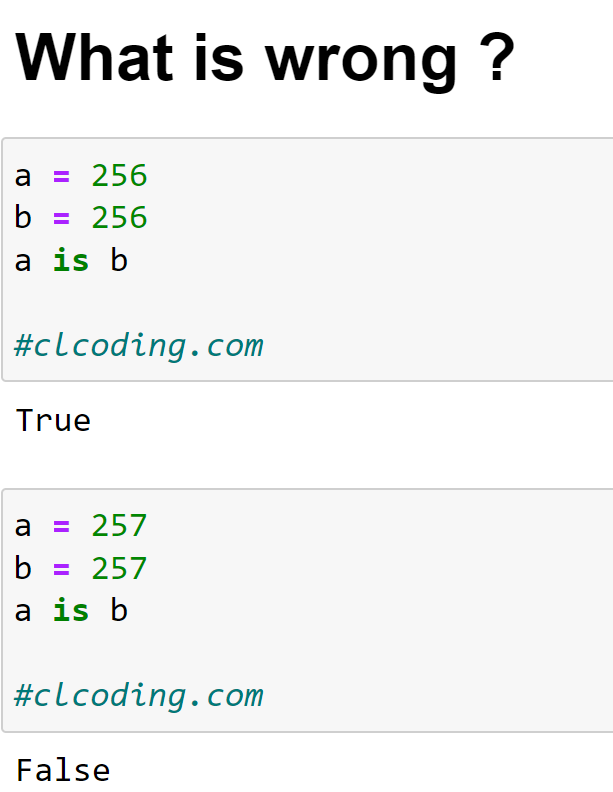 Python Coding tweet media