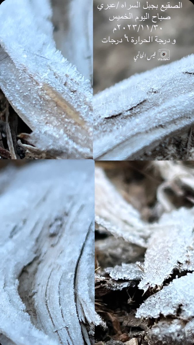 #الصقيع ب جبل السراه /بولاية عبري
 صباح اليوم الخميس  ٢٠٢٣/١١/٣٠م
ودرجة الحراره  ٦° 🥶
تصوير #قيس_الحاتمي