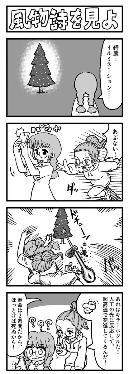 2023/11/30 めがね1 (風物詩を見よ) 