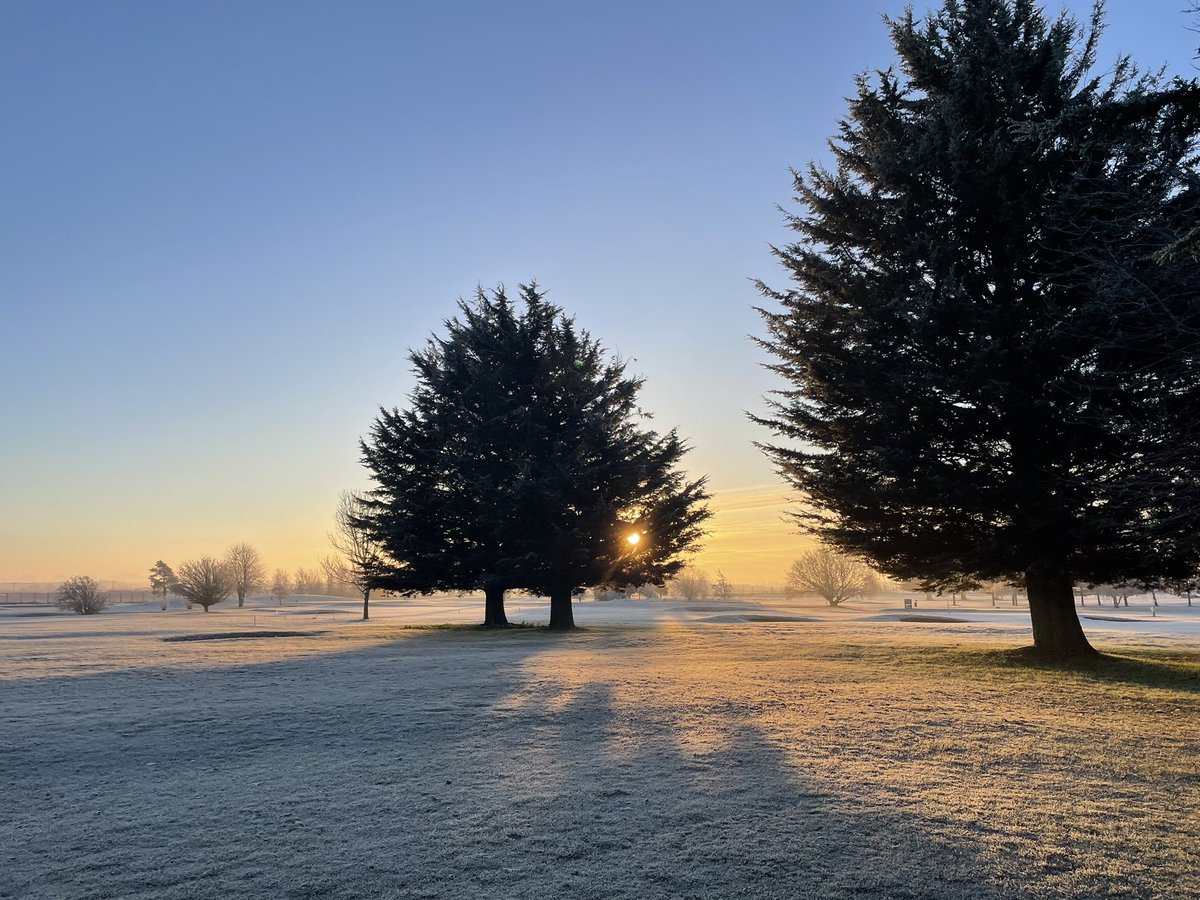 davidhurst tweet media