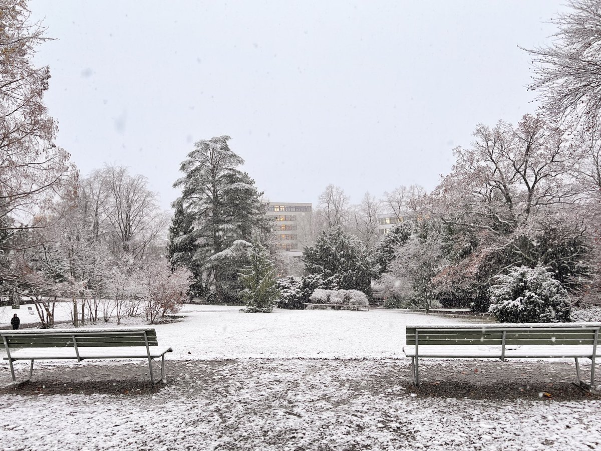 Sasha Cisar tweet media