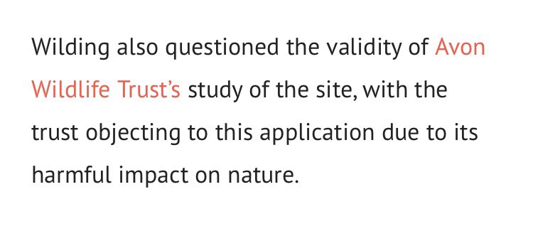 Danica Priest🦇🦎🦇🦎🍃💚🍃 tweet media
